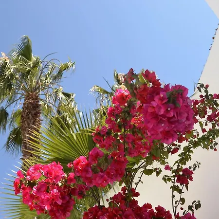 In Carvoeiro Near Algarseco Carvoeiro (Lagoa)